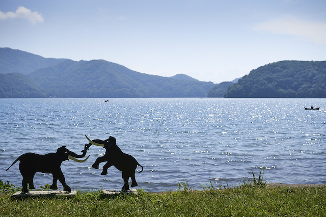 ナウマンゾウの水遊び
